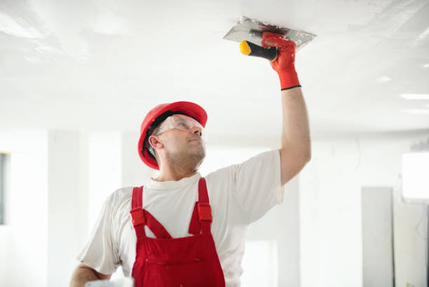 Best Fire-Damaged Drywall Repair  in Monroe, LA